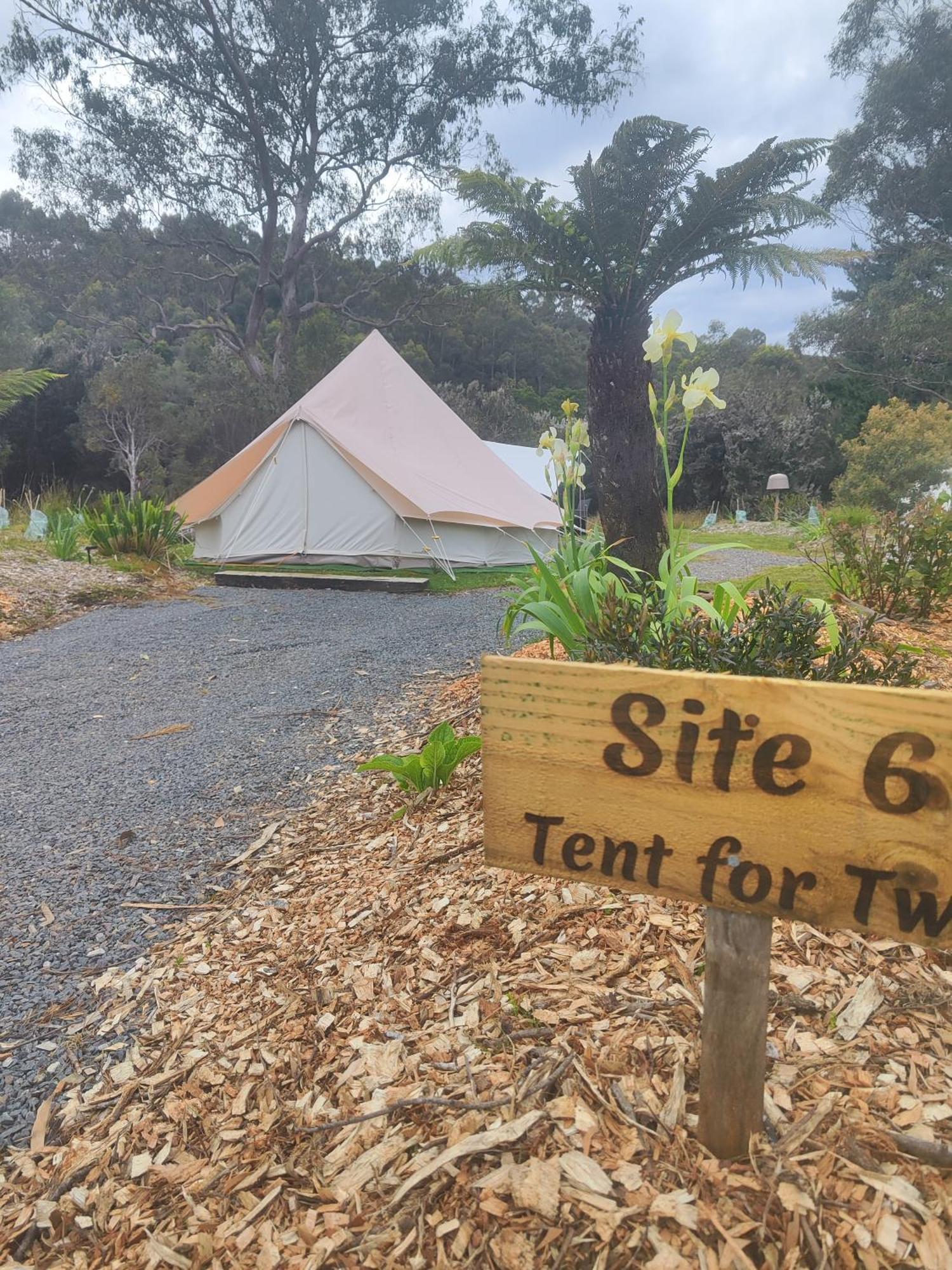 Glamping At Zeehan Bush Camp ภายนอก รูปภาพ